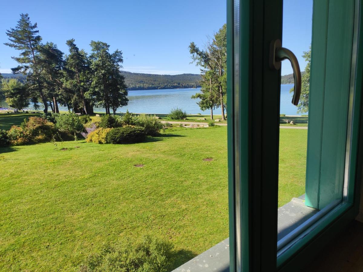 Lipno Riviera - Mysi V Bote Διαμέρισμα Lipno nad Vltavou Εξωτερικό φωτογραφία